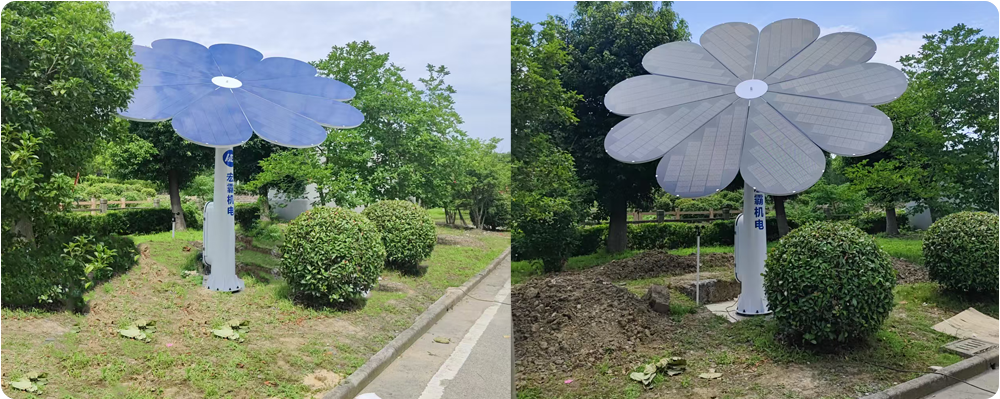 無錫光伏花1.png